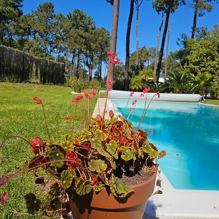 Charming Jarros Private Pool & Golf