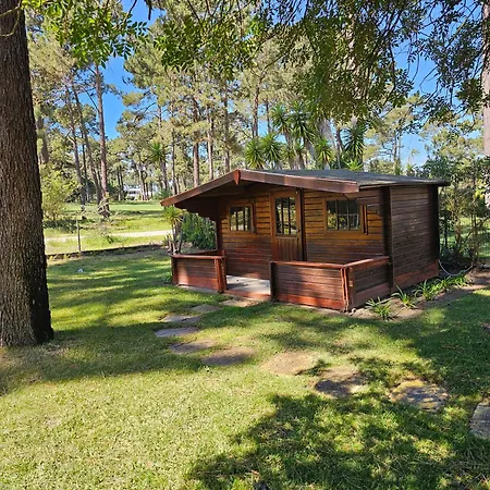 Charming Jarros Private Pool & Golf Villa Aroeira (Setubal)