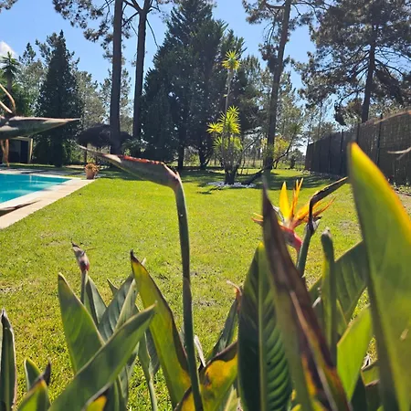 Charming Jarros Private Pool & Golf Villa *