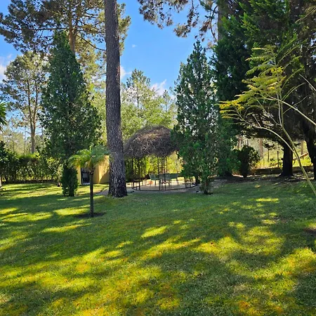 Charming Jarros Private Pool & Golf * Aroeira (Setubal)