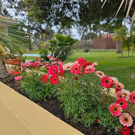 Villa Charming Jarros Private Pool & Golf Aroeira (Setubal)