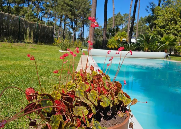 Charming Jarros Private Pool & Golf