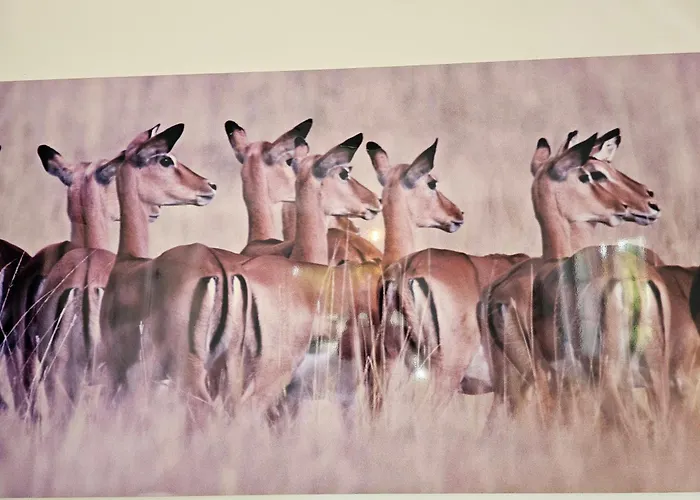 Charming Jarros Private Pool & Golf *